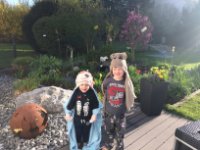 ein Bild aus dem Album