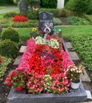 ein Bild aus dem Album