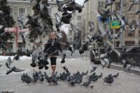 ein Bild aus dem Album