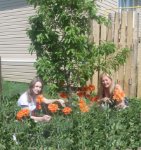 ein Bild aus dem Album