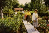 ein Bild aus dem Album